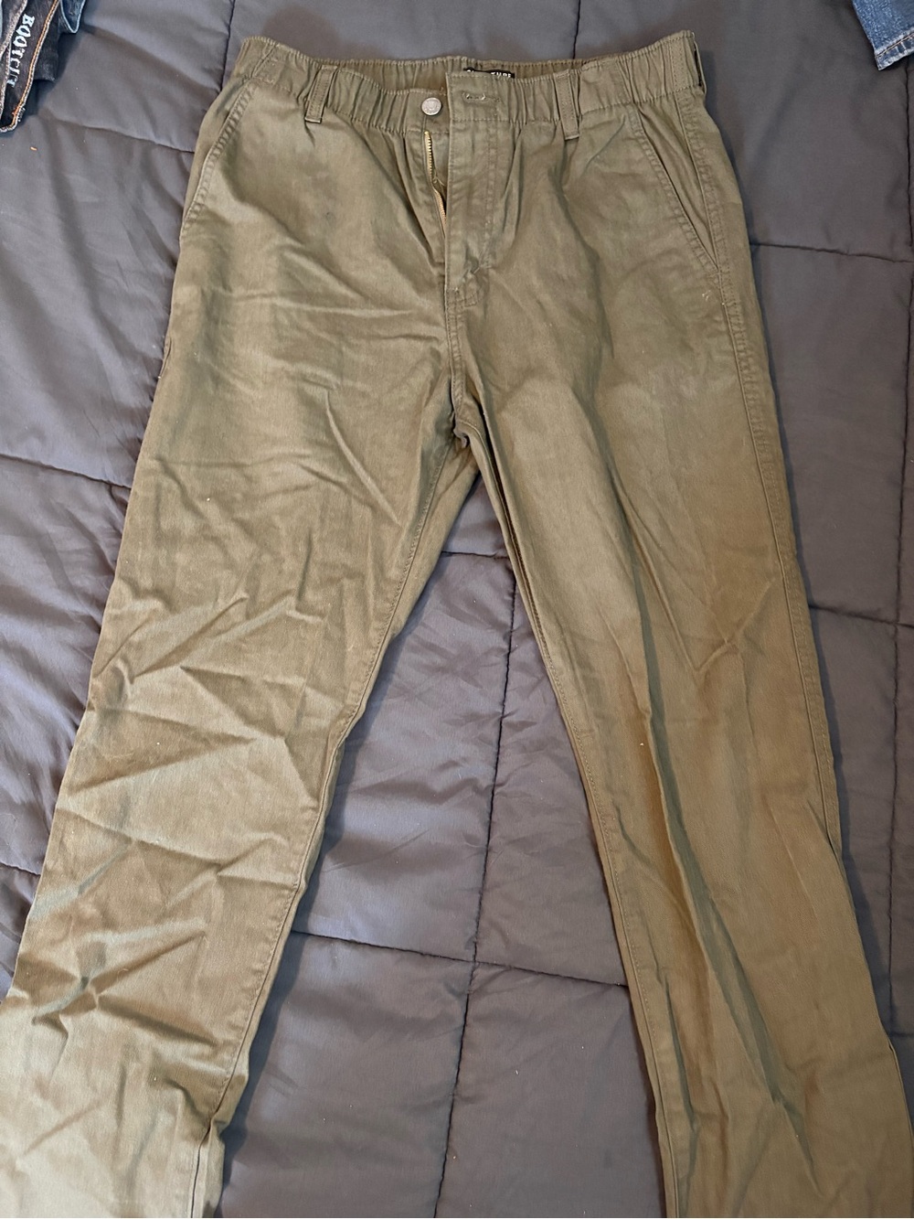 Signature by Levi Strauss Olive Stretch Chinos